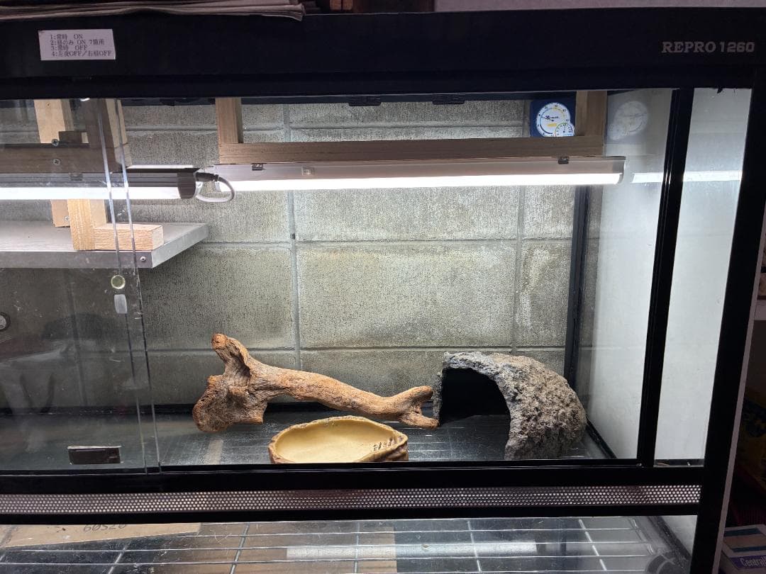 【引取り限定】爬虫類飼育ケージ ビバリア レプロ1260　他4点含む