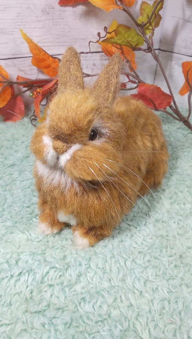 羊毛フェルト うさぎ ネザーランドドワーフ ハンドメイド Smile