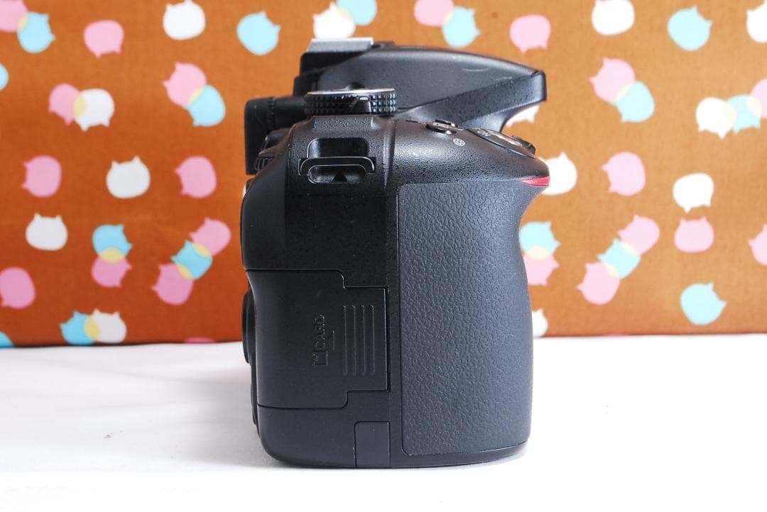 ✨Wi-Fi搭載機種✨美品✨Nikon D5300 ダブルレンズセット